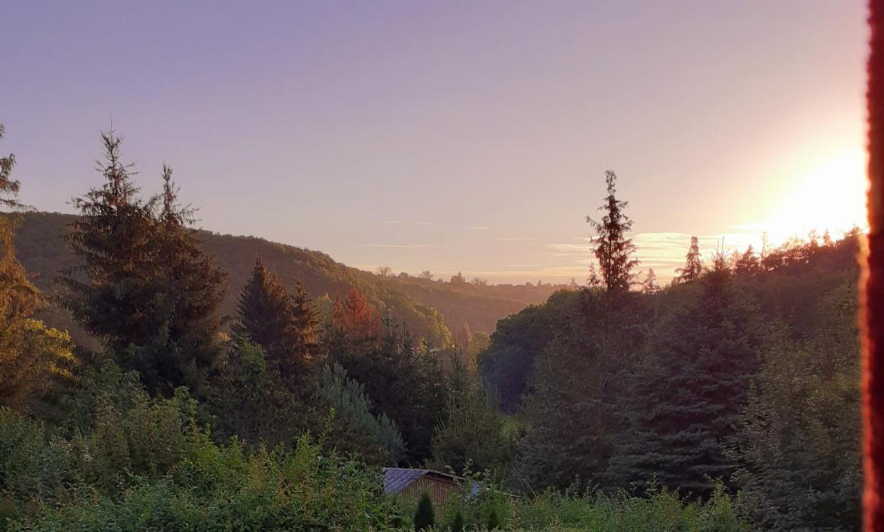 Talblick 2 - Ihr Zuhause : Das Ferienhaus Mitten Im Idyllischen Tal Bad Bibra Zewnętrze zdjęcie