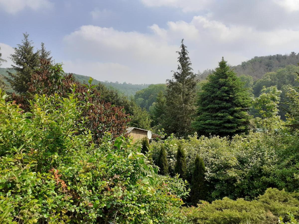 Talblick 2 - Ihr Zuhause : Das Ferienhaus Mitten Im Idyllischen Tal Bad Bibra Zewnętrze zdjęcie